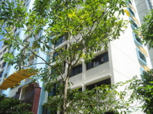 Blk 700C Ang Mo Kio Avenue 6 (Ang Mo Kio), HDB 5 Rooms #47802